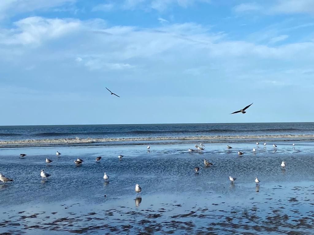 L'Escale A Deauville Exteriör bild